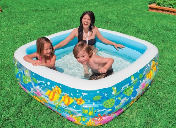 Clearview Aquarium Pool